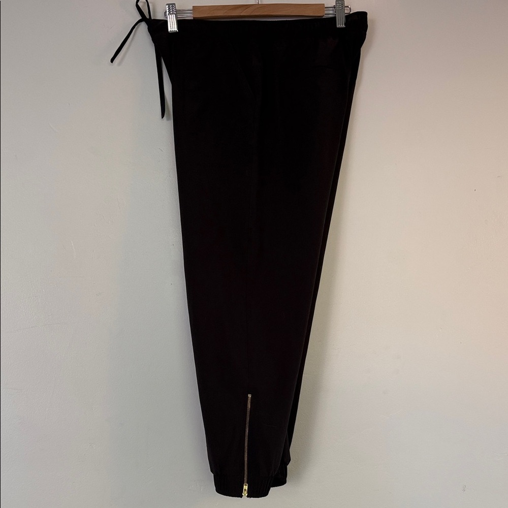 Albion Jetsetters • Classic Black Joggers with Ankle Zipper • Size Petite Medium - Picture 3 of 4